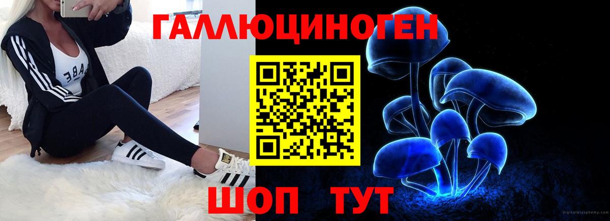 Псилоцибиновые грибы Magic Shrooms  Вход с VPN  продажа наркотиков  Саки  Псилоцибиновые грибы Magic Shrooms 